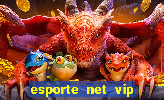 esporte net vip bet consultar bilhete